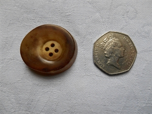 Horn Button BHR11x300.jpg